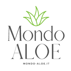 Mondo Aloe